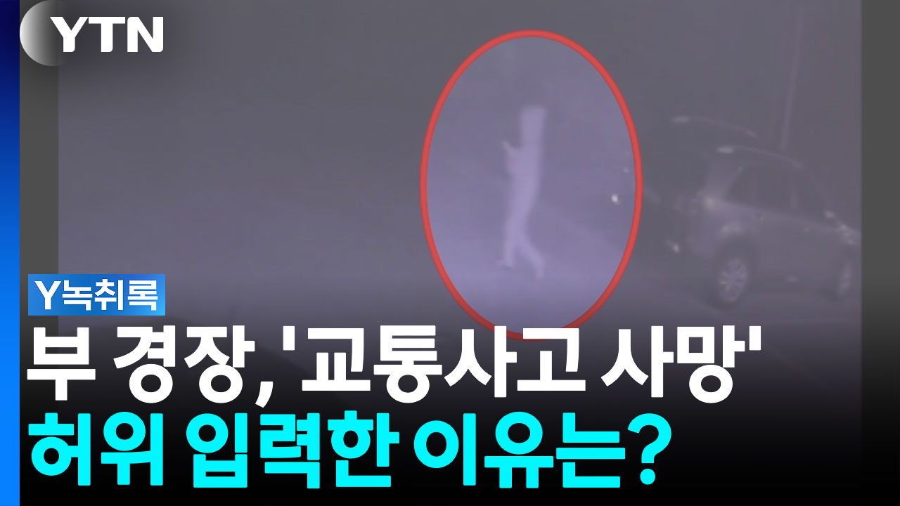 부 경장, 장미란 씨 '교통사고 사망' 허위 입력한 이유는? [Y녹취록]