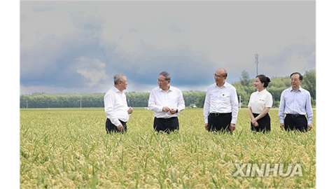 '발암물질 배추' 파장...중국 총리 "농장서 식탁까지 철저 감독"