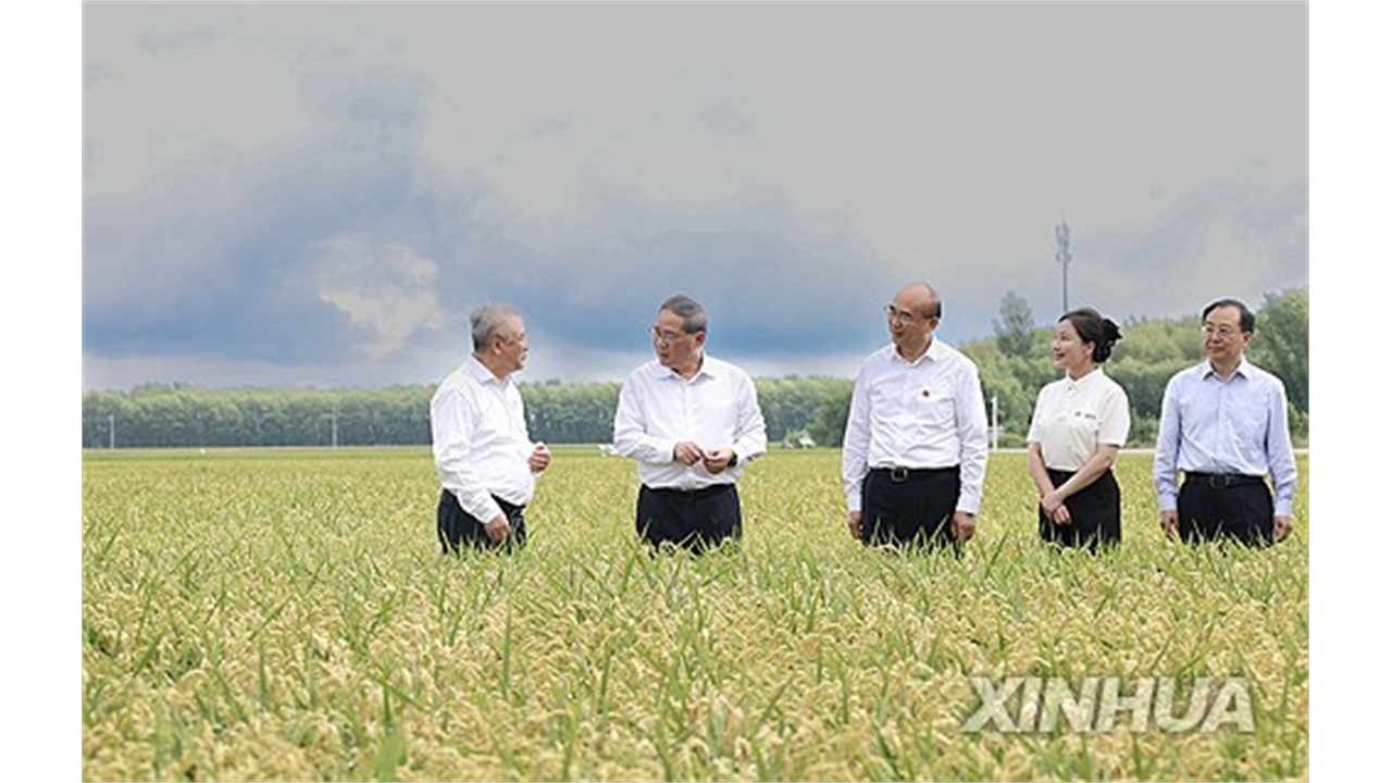 '발암물질 배추' 파장...중국 총리 "농장서 식탁까지 철저 감독"