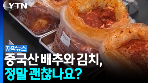 중국산 배추, 정말 괜찮나요?...불안감 '증폭'에 특단의 조치 [자막뉴스]