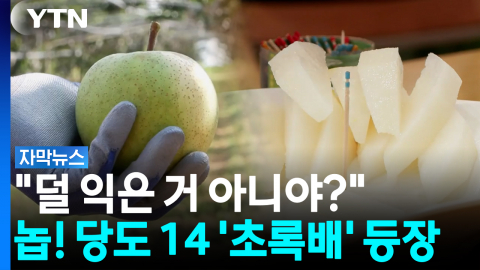 "배는 갈색이어야 한다?"...선입견 깨는 새콤달콤 '녹색배 3총사' [자막뉴스]
