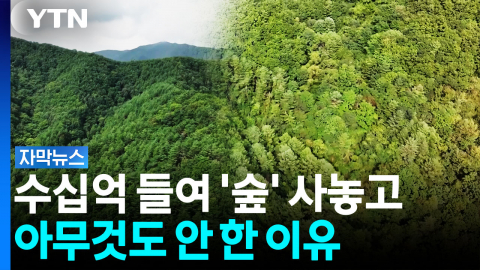 평생 번 돈으로 산 '숲'...보호구역 지정 자청한 주인 [자막뉴스]