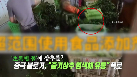 중국에서 또… 이번엔 '염색 상추' 논란 [앵커리포트]
