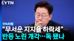 "8주 연속 하락"...이 대통령 지지율 하락세 원인은 [Y녹취록]