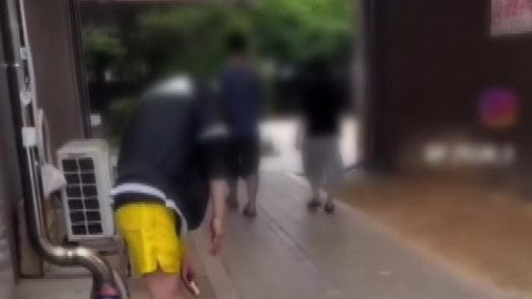 반전 거듭한 '수원 마약 좀비' 남성…오늘 구속 심사