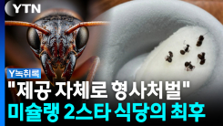중금속까지 검출..."손님 선택이었다" 감형 가능할까? [Y녹취록]