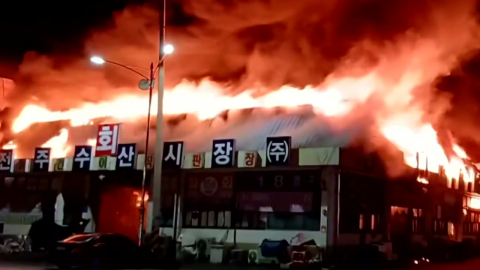 "추석 대목 날렸다"…천막 친 전주 도매시장 상인들