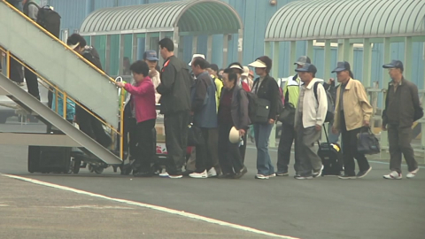 제주에 비바람 피해…특보 해제로 뱃길은 '정상 운항'