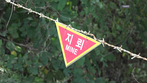 DMZ 폭발 조만간 현장조사…'스모킹건' 찾을까
