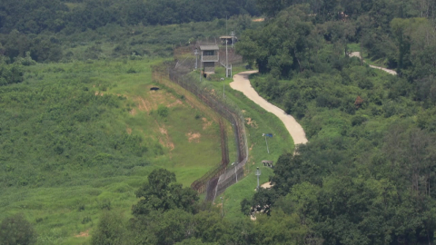 "DMZ 추가 현장 조사 계획"…목격 증언도 정밀 조사