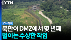 DMZ도 무력화?...북한이 벌이는 '국경선화' 작업 [Y녹취록]