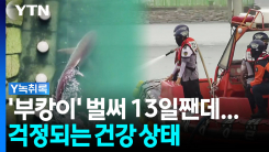 벌써 13일 됐는데...염려되는 '부캉이' 건강 상태 [Y녹취록]