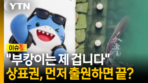 홍보대사 된 '부캉이' 개인이 상표권 출원...부산시 어쩌나 [이슈톺]