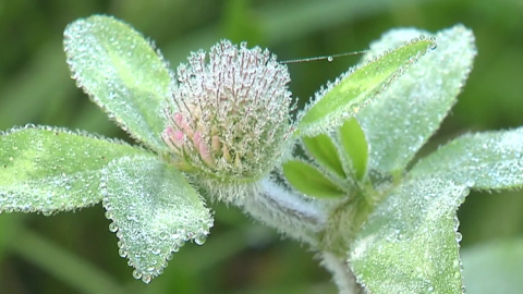 [날씨] 올가을 가장 추운 아침…대관령 -0.3℃까지 '뚝'