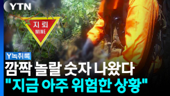 "지금 아주 위험한 상황"...북한 매설 지뢰 분석해 보니 [Y녹취록]