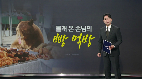 몰래 온 곰 손님의 '빵 먹방' [앵커리포트]