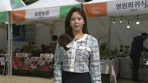 [날씨] 낮부터 찬바람에 '쌀쌀'…오늘 밤 태백·평창 산지 '한파주의보'