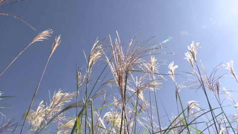[날씨] 가을 햇살에 낮 기온 '쑥', 서울 22℃…큰 일교차