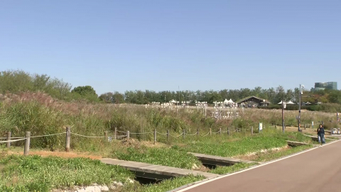 [날씨] 내일도 쾌청한 가을 날씨…누리호 발사 날씨 \'이상 없음\'