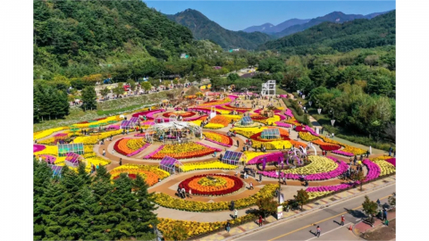 인제 가을꽃축제, 오는 18일까지 일주일 연장...올해도 무료 입장