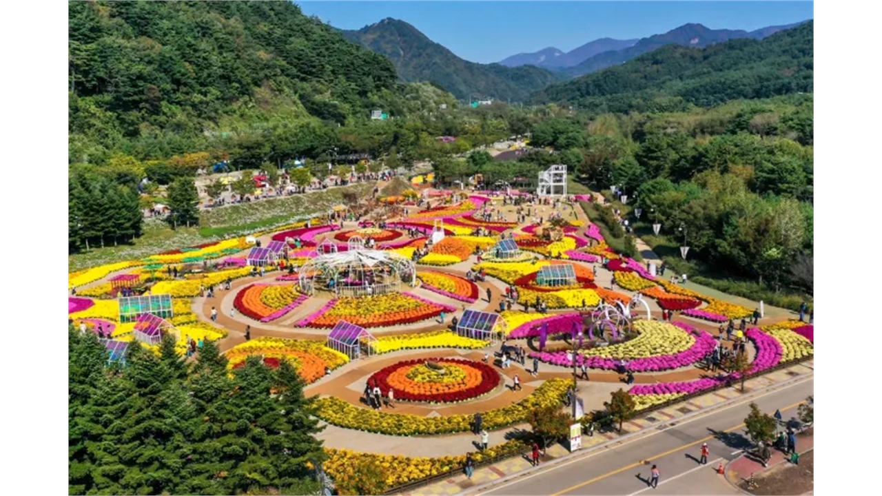 인제 가을꽃축제, 오는 18일까지 일주일 연장...올해도 무료 입장