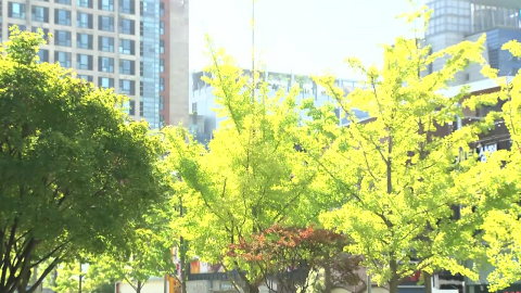 [날씨] 뜨거운 가을볕에 낮에는 다소 더워…내일도 맑고 큰 일교차