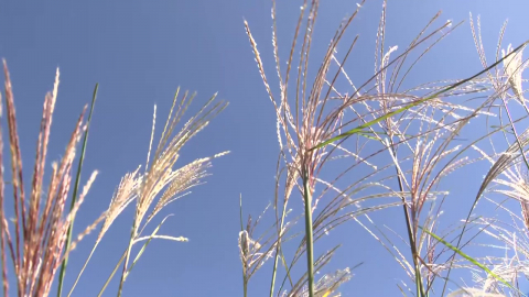 [날씨] '한글날' 늦더위 계속…서울 25℃, 큰 일교차 유의