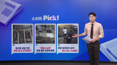 부산에 살림 차린 중동 출신 바퀴벌레? [앵커리포트]