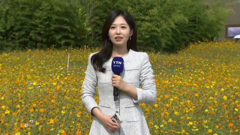 [날씨] 늦더위 속 내륙 곳곳 소나기…늦은 밤부터 전국 비
