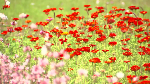  현재 서울 30.1℃...10월 통틀어 역대 최고 기온 기록