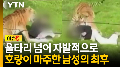 호랑이 우리 들어간 남성의 최후...동물원 측이 내린 결정 [이슈톺]