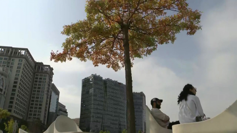 [날씨] 곳곳 10월 최고 기온 경신, 서울 30.1℃…밤사이 전국 비