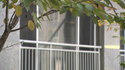 아버지 살해한 40대 딸 구속…"투자 실패 질책에 범행"