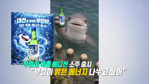 \'부캉이, 캬!\' 소주부터 상어 키링까지 [앵커리포트]