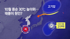 30℃ 찍더니 비 그치면 9℃...널뛰는 가을 날씨 이유는?