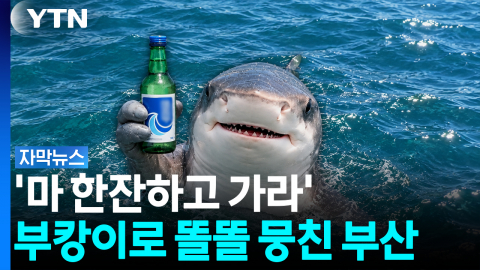 '부캉이 한 병 주세요'...부산 휩쓴 부캉이 열풍  [자막뉴스]