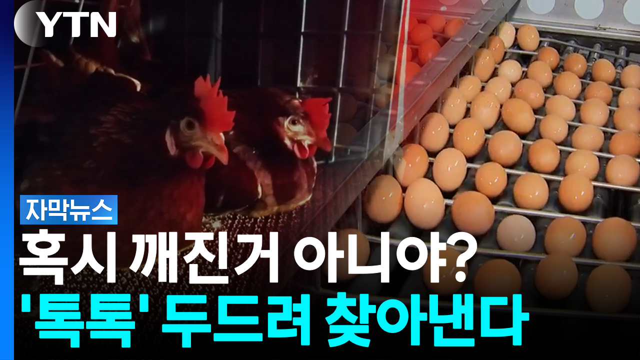 달걀 하나씩 두드렸더니...첨단 장비 도입한 스마트 농장의 비밀 [자막뉴스]