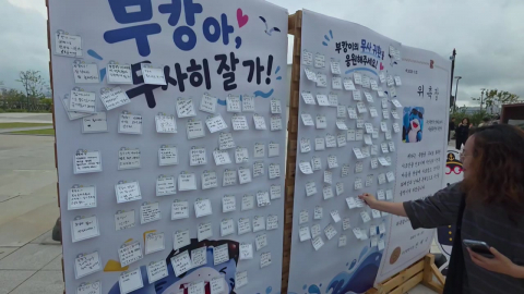 "부캉이가 날 모르면 어때"…\'동물 덕질\'의 심리는?