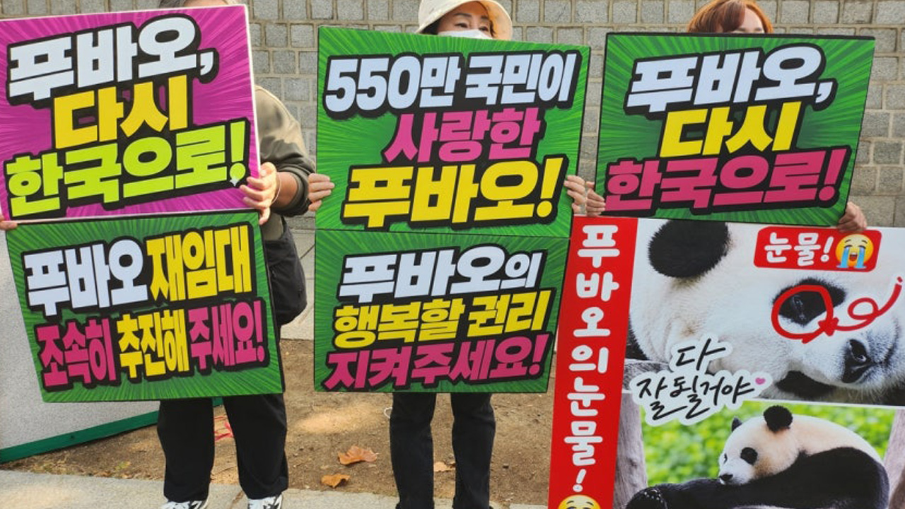 "푸바오 재임대 추진하라"...청와대 앞 집회 열려