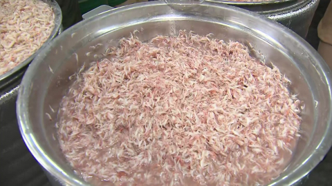 "통통한 육젓 맛보세요!"…강경젓갈축제 개막