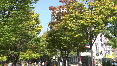 [날씨] 남부 가을비, 밤사이 전국 비 확대…내일 기온 \'뚝\'