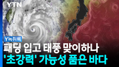 10월에도 발생한 '초강력 태풍'...바다 살펴보니 '설마 또?' [Y...