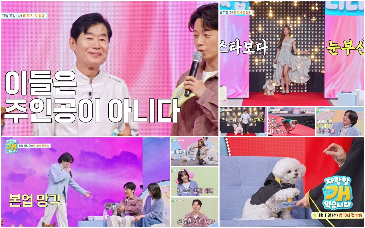 이연복·권은비도 팔불출 견주 변신…‘자랑할 개’ 티저 공개