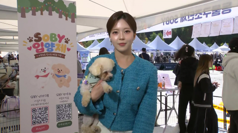 [날씨] 찬 바람에 종일 서늘…내일 전국 추위 부르는 가을비