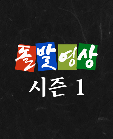 돌발영상 시즌1