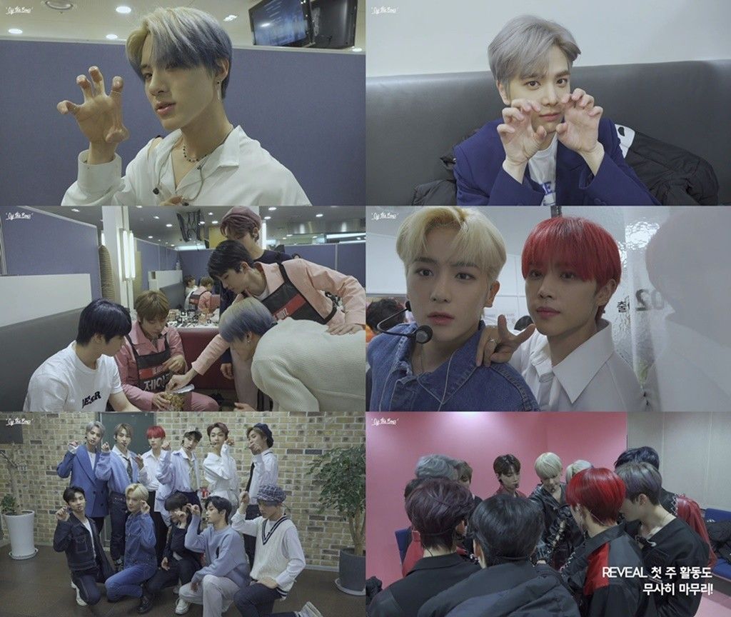 더보이즈, 신곡 '리빌' 대기실 비하인드 영상 공개...반전 매력 더보이즈, 신곡 '리빌' 대기실 비하인드 영상 공개...반전 매력