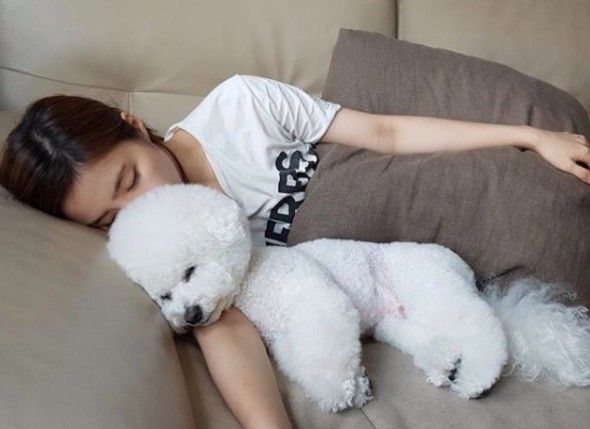 신세경, 반려견과 힐링타임.. 감출 수 없는 청순미 신세경, 반려견과 힐링타임.. 감출 수 없는 청순미