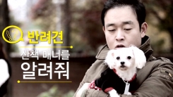 반려견과의 산책, 이것은 꼭 챙기세요