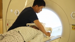 변경된 뇌 질환 MRI 검사비