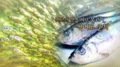 썩어도 준치는 진가를 발휘한다?